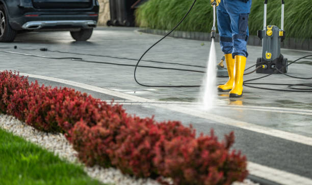 Best Roof Washing  in Campbell, FL